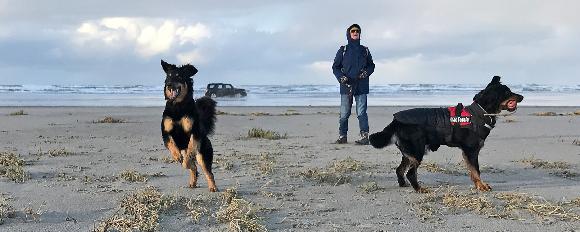 2017-11 Terschelling_122 LR