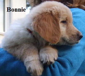 DSCF2209_1Bonnie